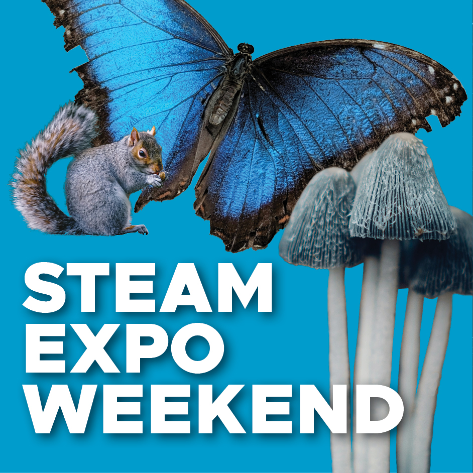 Steam Expo Weekend